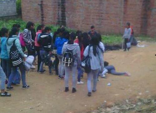 广西宾阳新闻爆料甘棠 第3张 广西宾阳新闻爆料甘棠 第3张